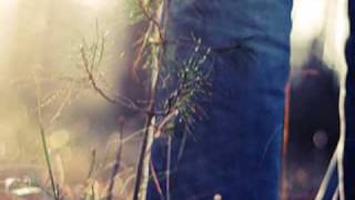 Carmen Consoli Sulla Mia Pelle