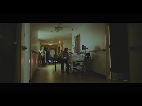 Wolves At The Gate - The Bird and the Snake