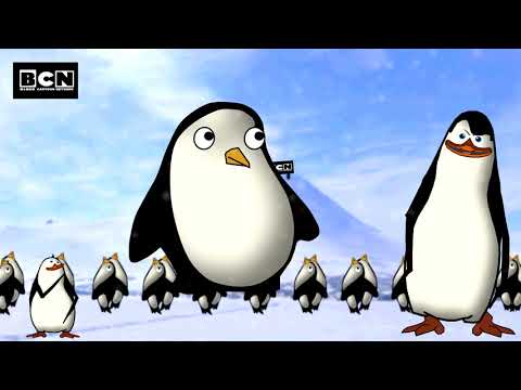 Meanwhile at the South Pole