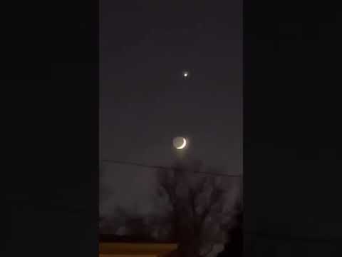 nickjonas this one’s for you | 📸   Video By marlijohnson3 #Shorts