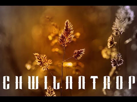 Pisak - Chwilantrop feat. Flavis (prod. Tytuz)