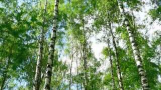 Me &amp; My -  Let The Love Go On