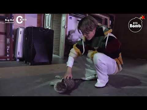 [POLSKIE NAPISY] 210120 You Have a Meow sitor! (Bangtan Bomb) | CRUSHONYOU