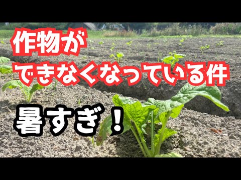 農業は気候をどのように守るのか