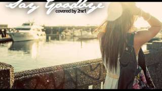 2ne1 - Say Goodbye (covered)