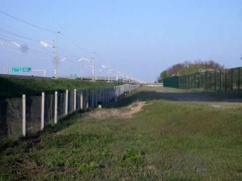 Una Frecciarossa, Due Urli!!!!