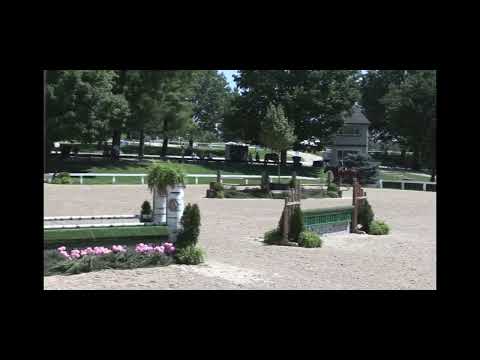 Highgate video 3