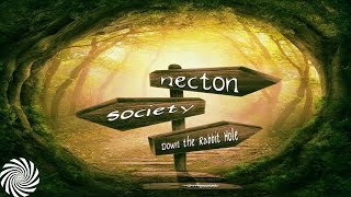 Necton - The Frequency Code
