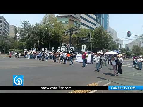 Video: Trabajadores de MEJOREDU piden a la SEP certeza laboral