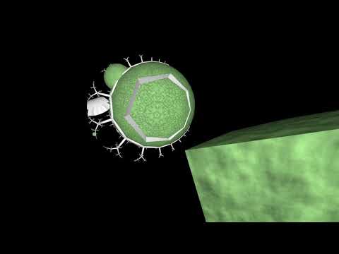 Hyperbolic space rendering engine demo
