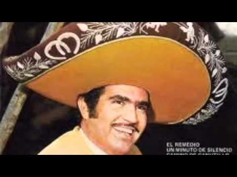 download lagu mp3 mp4 Paloma Errante Lyrics, download lagu Paloma Errante Lyrics gratis, unduh video klip Paloma Errante Lyrics