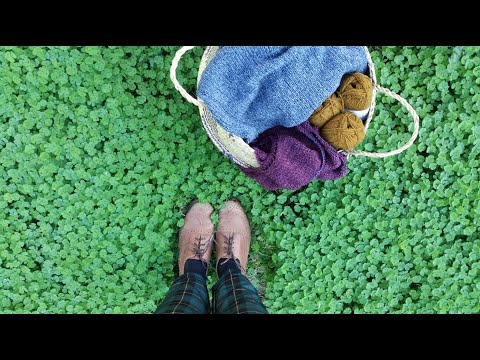 Yarnflakes Podcast 70 - Wind of Change