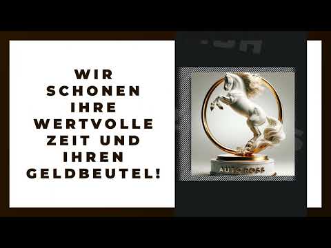 AUTOROSS KfZ Zulassungsdienst GmbH YouTube-Vdeominiatur 10