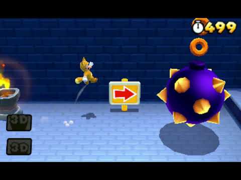 Super Mario 3D Land W1-2 Speedrun - Time: 25 (Tied WR)