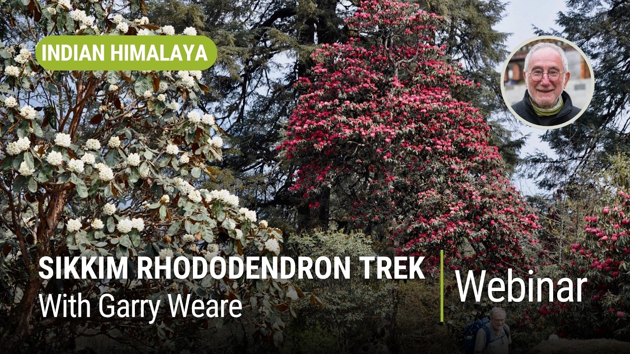 Sikkim Rhododendron Trek with Garry Wear | World Expeditions Webinar