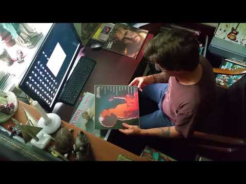 Guido`s Plattenkiste Vinyl Sammlung - Sammelsurium&Aufräumwahn - Schallplatten