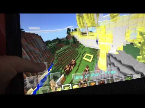 Una barca volante!!in Minecraft? Wing of wish