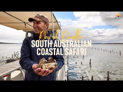 South Australian Coastal Safari with David Doudle - YouTube