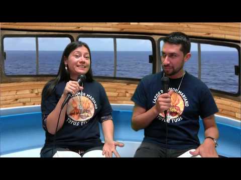 Lección #14 "La Tibieza Espiritual" | CONSAGRACIÓN | EN VIVO | Navegando con María