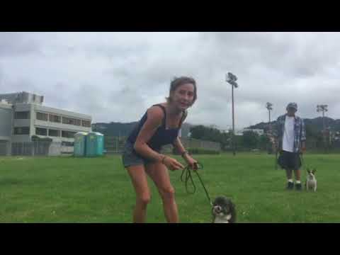 Teaching hand signals