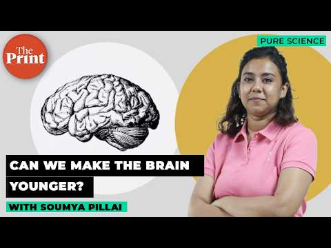 A protein that can prevent brain ageing
