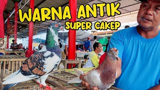 Download lagu MANY GOOD PIGEONS IN KLIWONAN MARKET mp3 Download lagu MANY GOOD PIGEONS IN KLIWONAN MARKET mp3