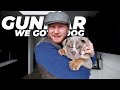 Vlog IV: We got a Dog