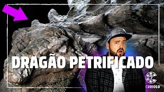 O DINOSSAURO mais PRESERVADO DO MUNDO