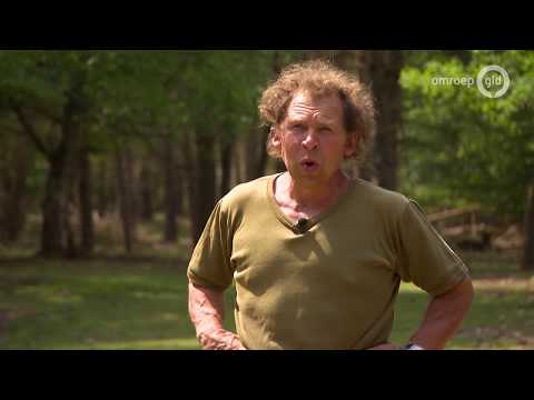 Kunstenaar niet blij met nieuwe crossbaan nabij Loenermark - Onze Veluwe