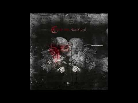 download lagu mp3 mp4 Ayat Carry On Carrion, download lagu Ayat Carry On Carrion gratis, unduh video klip Ayat Carry On Carrion