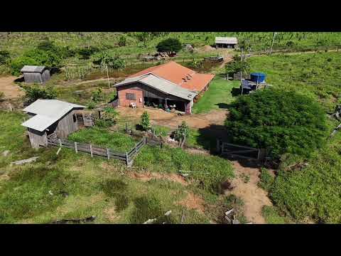 Faz.247 alq.2.42 valor 20.mil por alq documentação boa no Amazonas Mun. de Apuí zap.91982165639 