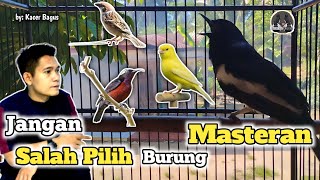 Download lagu Masteran Yang cocok Untuk Kacer || Agar Kacer Gacor  Bongkar Materi Full Isian On Konslet Buka Ekor mp3 Download lagu Masteran Yang cocok Untuk Kacer || Agar Kacer Gacor  Bongkar Materi Full Isian On Konslet Buka Ekor mp3