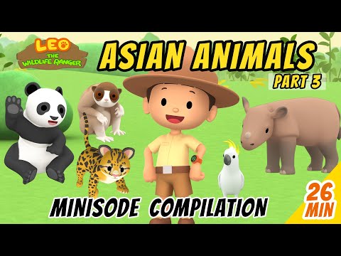 Asian Animals Minisode Compilation (Part 3/5) - Leo The Wildlife Ranger | Animation | For Kids