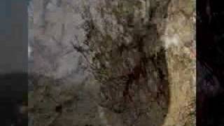 ULV Kaminante de Kaminos