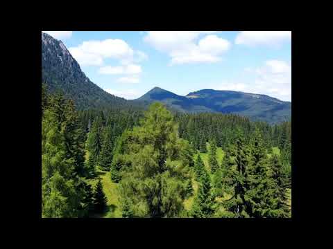 Poiana Costilei, Muntii Bucegi