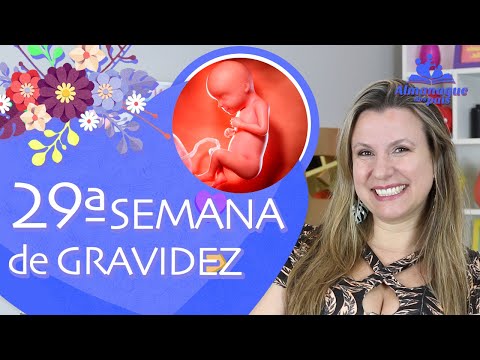 29ª SEMANA DE GESTAÇÃO | 7 Meses, Sinais de Parto Prematuro, Gêmeos | 3º TRIMESTRE DE GRAVIDEZ