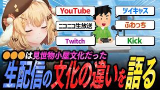【切り抜き】インターネット老人会が語る「生配信の文化の違い」【因幡はねる / ななしいんく】