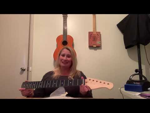 Unboxing of the DIY Artist ST Style Guitar