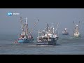 Vlootschouw 2019 in beeld