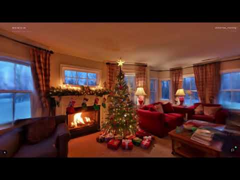 Demo Video