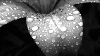 Oblivion Dust - Waiting for God