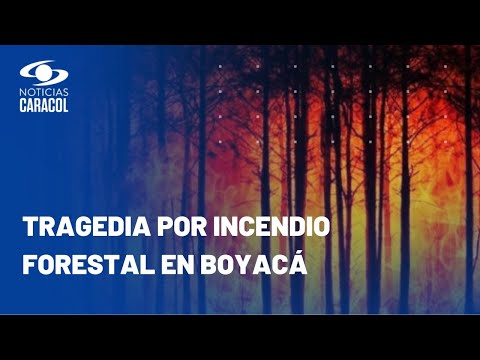 Campesino murió en medio de incendio forestal en zona rural de La Capilla, Boyacá