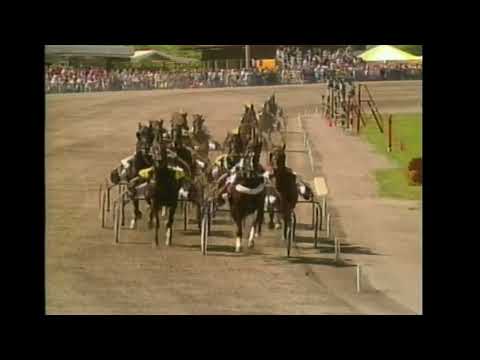 Hot Trot Ting & Lennart Forsgren vinner Harper Hanovers lopp (50 000 kr) på Solvalla 1989.