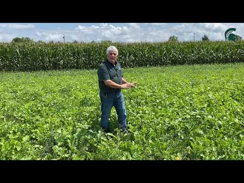 Cover Crops:  Weed Suppression