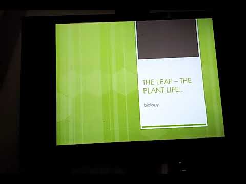 The leaf part 1... 🍀hemali matalia class 6