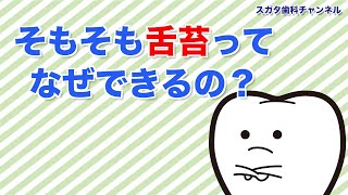 医療法人社団　スガタ歯科医院