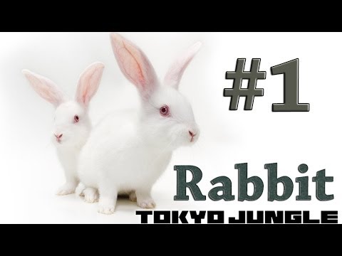 Tokyo Jungle - Rabbit Survival Part 1 of 3