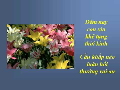 Vu Lan nhớ cha - Hoàng Quân