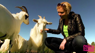 Cruisin' With Kendra Episode 12: 1966 Mustang / Bob Dylan
