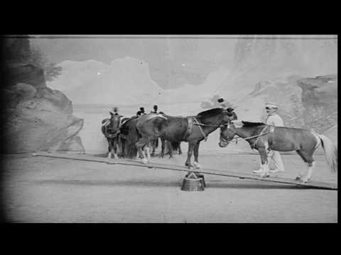 Richard Grey  *Turn Your Love Around*